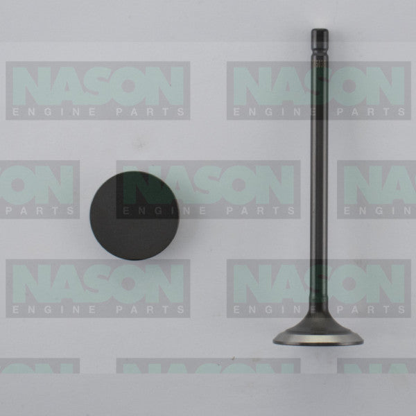 Valve Inlet TOYOTA 1VD-FTV IN5036 - NASON