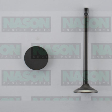 Valve Inlet TOYOTA 1VD-FTV IN5036 - Nason
