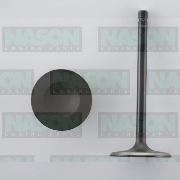 Valve Inlet FORD 302/351 CLEVELAND 4V IN6068 - NASON