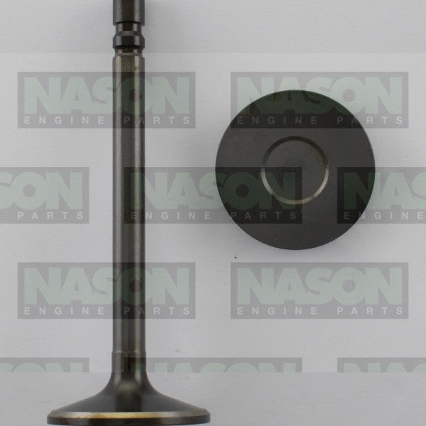 Valve Inlet HOLDEN 6 BLUE 1.675 HD IN7910+005 - NASON
