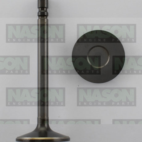 Valve Inlet HOLDEN 6 BLUE 1.675 HD IN7910+005 - Nason