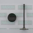 Valve Inlet TOYOTA 1GR-FE 24V DOHC IN8914 - NASON