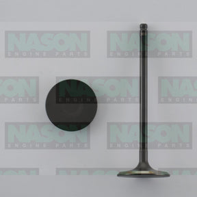 Valve Inlet TOYOTA 1GR-FE 24V DOHC IN8914 - NASON