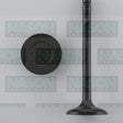 Valve Inlet TOYOTA 1DZ IN8916 - NASON