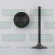 Valve Inlet NISSAN K21 K25 FORKLIFT IN8920 - NASON