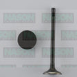 Valve Inlet HYUNDAI/KIA D4CB 2.5L DOHC 16V IN8922 - NASON