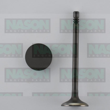 Valve Inlet HYUNDAI/KIA D4CB 2.5L DOHC 16V IN8922 - Nason