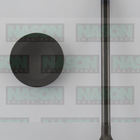 Valve Inlet MITSBUISHI 6G75 IN8928 - Nason