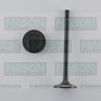 Valve Inlet HOLDEN/DAEWOO F18D3 IN8930 - NASON