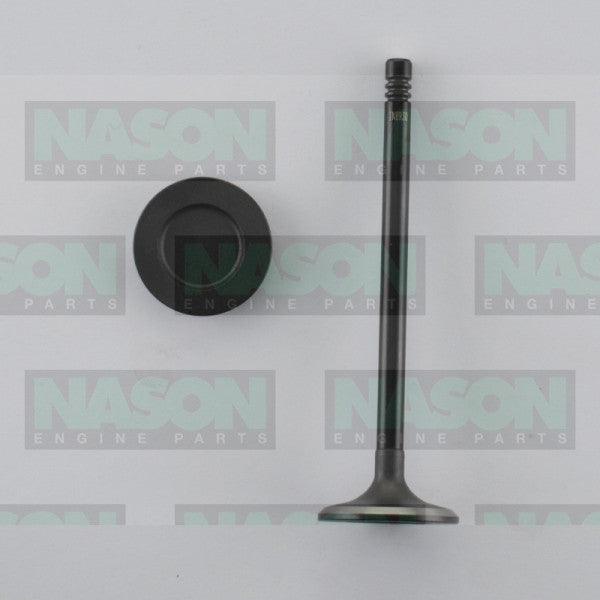 Valve Inlet HOLDEN/DAEWOO F18D3 IN8930 - NASON