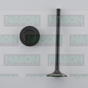 Valve Inlet HOLDEN/DAEWOO F18D3 IN8930 - NASON