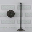 Valve Inlet HOLDEN/DAEWOO F16D3 IN8932 - NASON