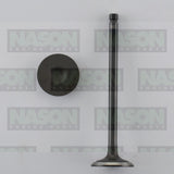 Valve Inlet HOLDEN/DAEWOO F16D3 IN8932 - Nason