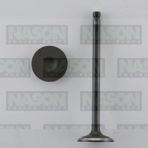 Valve Inlet HOLDEN/DAEWOO F16D3 IN8932 - NASON