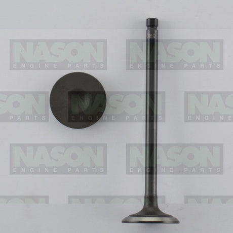 Valve Inlet HOLDEN/DAEWOO F16D3 IN8932 - Nason