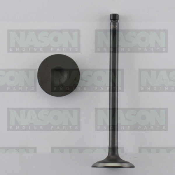 Valve Inlet HOLDEN/DAEWOO F16D3 IN8932 - NASON