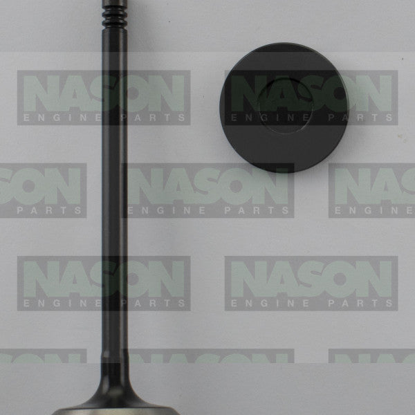 Valve Inlet FORD FYJA DURATEC 1.6 DOHC 16V IN8934 - FAI