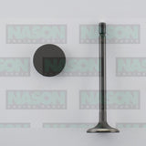 Valve Inlet HYUNDAI D4EA D4EB IN8936 - Nason