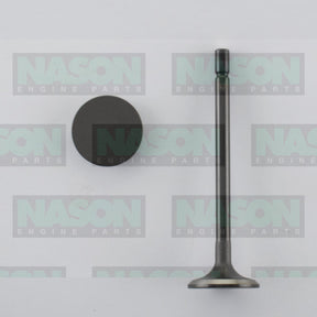 Valve Inlet HYUNDAI D4EA D4EB IN8936 - NASON
