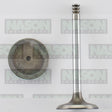 Valve Inlet VW Audi AXR BSW SOHC 8V 10V IN8956 - FAI