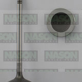 Valve Inlet VW Audi BLR BLX BVY DOHC 16V IN8968 - FAI