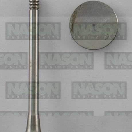 Valve Inlet VW Audi BKD DOHC 16V IN8972 - FAI
