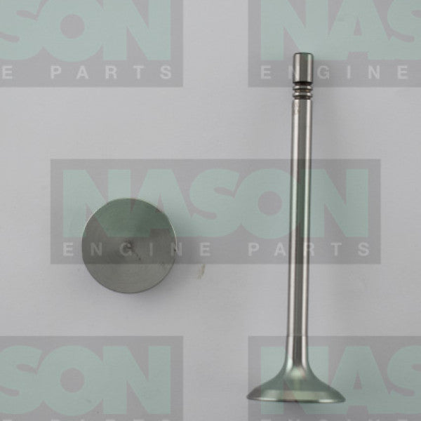 Valve Inlet VW Audi CBAB CBBB CSHA DOHC 16 IN8976 - FAI