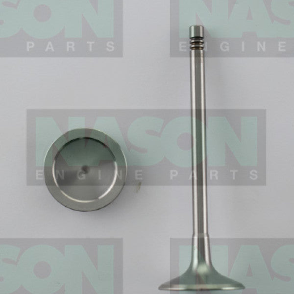 Valve Inlet VW Audi VARIOUS MODEL DOHC 16V IN8978 - FAI