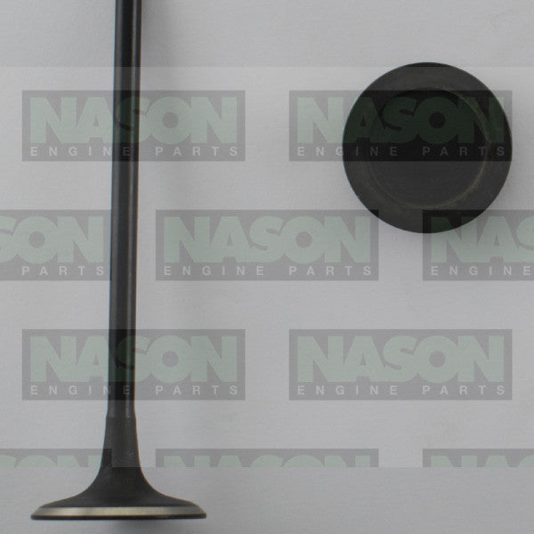 Valve Inlet CHRYSLER ED3 2.4L 16V DOHC IN8986 - NASON