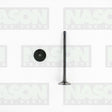 Valve Inlet FORD/MAZDA 2.2L/2.4L/3.2L IN8990 - NASON