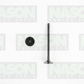 Valve Inlet FORD/MAZDA 2.2L/2.4L/3.2L IN8990 - NASON