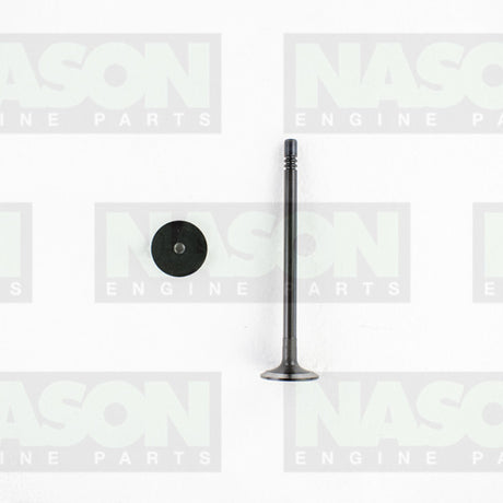Valve Inlet FORD/MAZDA 2.2L/2.4L/3.2L IN8990 - Nason