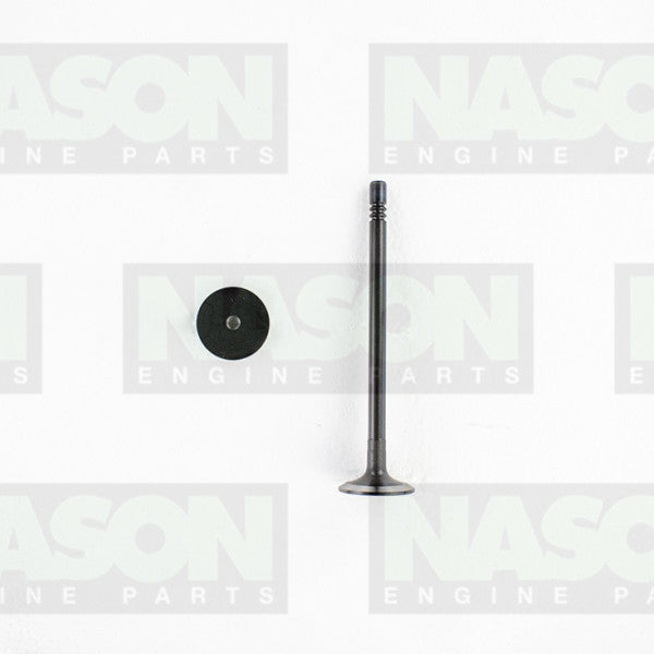 Valve Inlet FORD/MAZDA 2.2L/2.4L/3.2L IN8990 - NASON