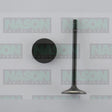 Valve Inlet MAZDA L3 Turbo DOHC 16V IN9000 - NASON