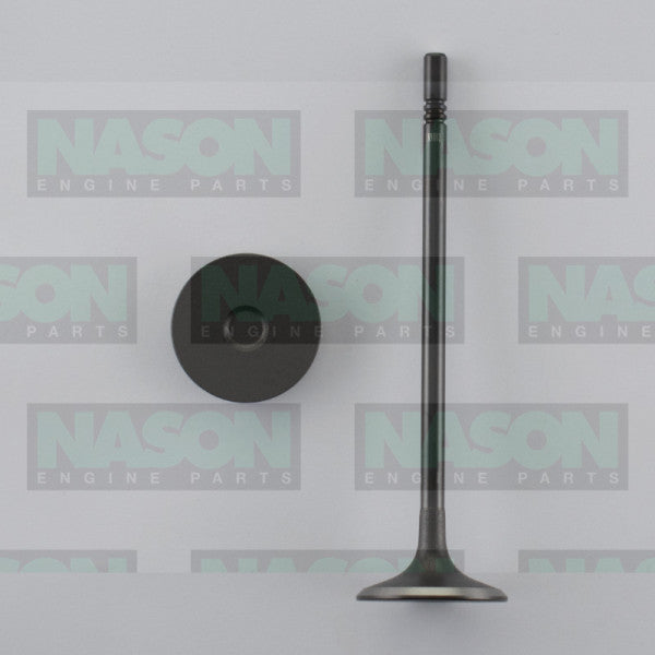 Valve Inlet HOLDEN Z18XER F18D4 DOHC 16V IN9002 - Nason