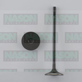 Valve Inlet HOLDEN Z18XER F18D4 DOHC 16V IN9002 - Nason
