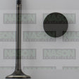 Valve Inlet HOLDEN Z20S1 SOHC 16V DIESEL IN9004 - Nason