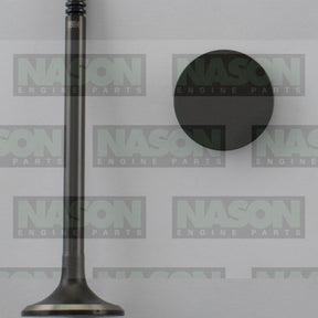 Valve Inlet HOLDEN Z20S1 SOHC 16V DIESEL IN9004 - Nason