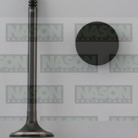 Valve Inlet HOLDEN Z20S1 SOHC 16V DIESEL IN9004 - Nason