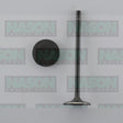 Valve Inlet TOYOTA 2ZR-FE DOHC 16V IN9008 - NASON