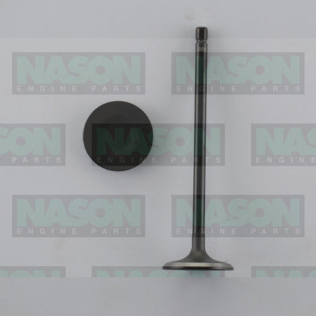 Valve Inlet TOYOTA 2ZR-FE DOHC 16V IN9008 - Nason