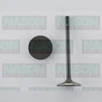 Valve Inlet HOLDEN V6 3.0L 3.2L DOHC 24v IN9036 - NASON