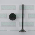 Valve Inlet NISSAN YD25 DOHC 16V IN9046 - NASON