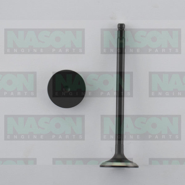 Valve Inlet NISSAN YD25 DOHC 16V IN9046 - NASON