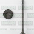 Valve Inlet HYUNDAI D4FB IN9056 - NASON