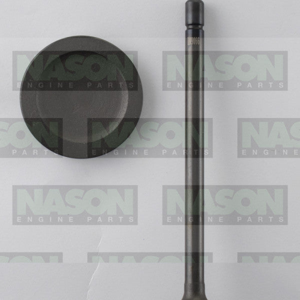 Valve Inlet HOLDEN V6 3.6L SIDI LFX IN9066 - NASON