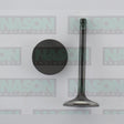 Valve Inlet TOYOTA 1HZ 1HDT IN9120 - NASON