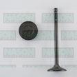 Valve Inlet TOYOTA 1GD/2GD-FTV 16V DIESEL IN9142 - Nason