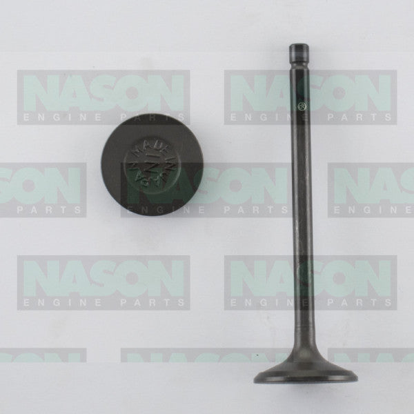 Valve Inlet TOYOTA 1GD/2GD-FTV 16V DIESEL IN9142 - Nason