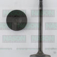 Valve Inlet NISSAN KA24DE IN9150 - NASON